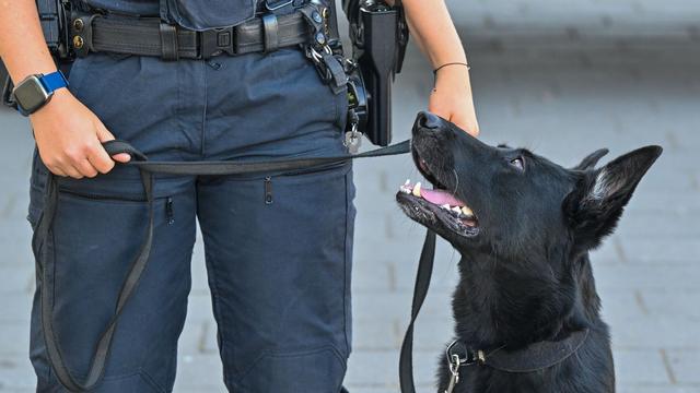 Potsdam-Eiche: Polizei lädt zum Tag der offenen Tür