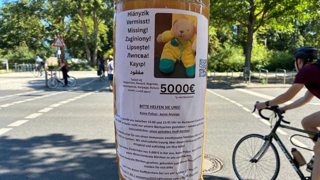 Gesellschaft: Teddy-Diebstahl in Berlin - Bär bleibt verschwunden