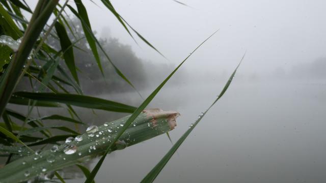 Wetter: Wolken, Regen und Gewitter zum Wochenbeginn