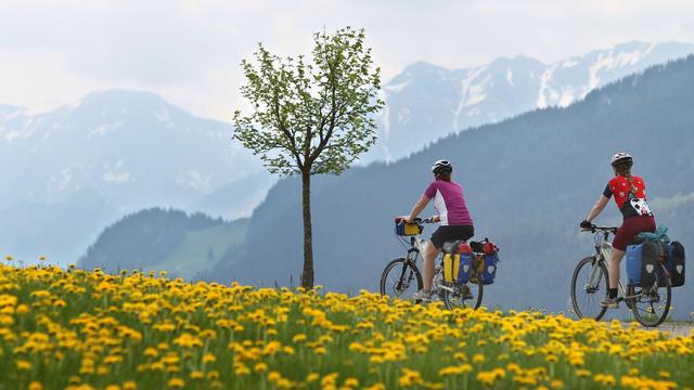 Bergsport: E-Bike am Berg: Arzt sieht mehr Unfälle und ältere Patienten