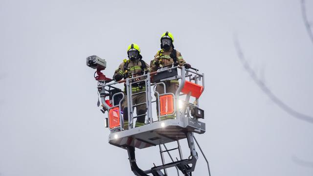 Notfälle: Seniorin sucht Katze auf Dach – Polizei und Feuerwehr kommen