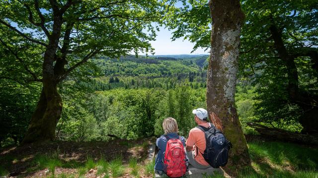Wetter: Sommertemperaturen verharren unter der 30-Grad-Marke