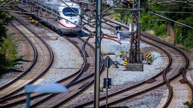 Zugverkehr: Baum umgefallen - Sperrung auf Bahnstrecke Bremen-Hamburg