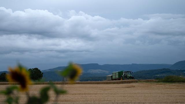 Wetterbericht: Gewitter und unwetterartiger Starkregen drohen wieder