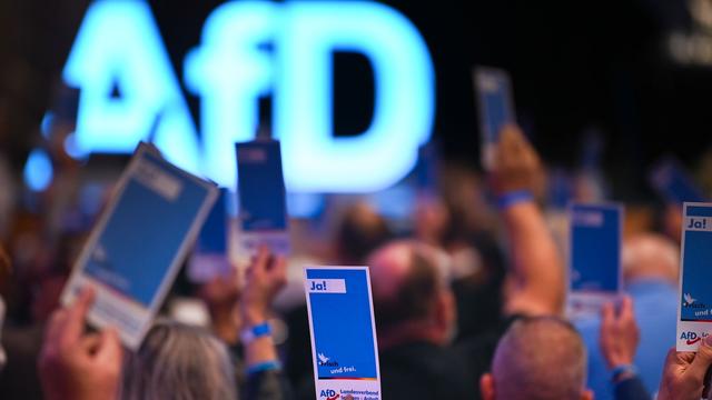 AfD-Nachwuchs: Diskussion über künftiges Logo der AfD-Parteijugend