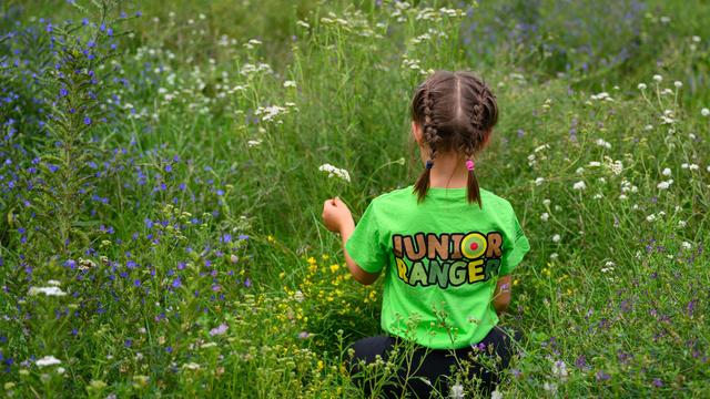 Umwelt: Junior-Ranger schlagen Zelte am Nationalpark auf