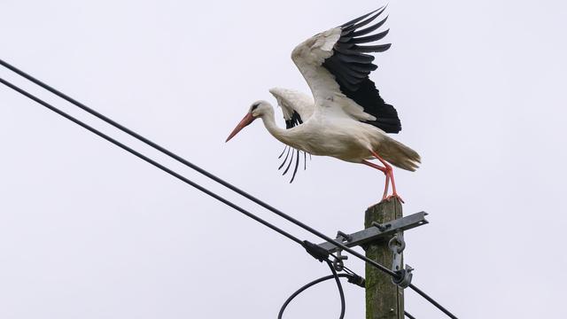 Wetteraussichten: Trübes Wetter in Berlin und Brandenburg erwartet
