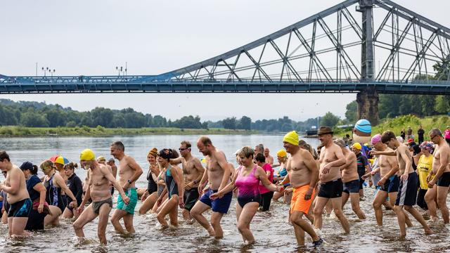 Schwimmen in der Elbe: Hunderte Teilnehmer beim Elbeschwimmen in Dresden