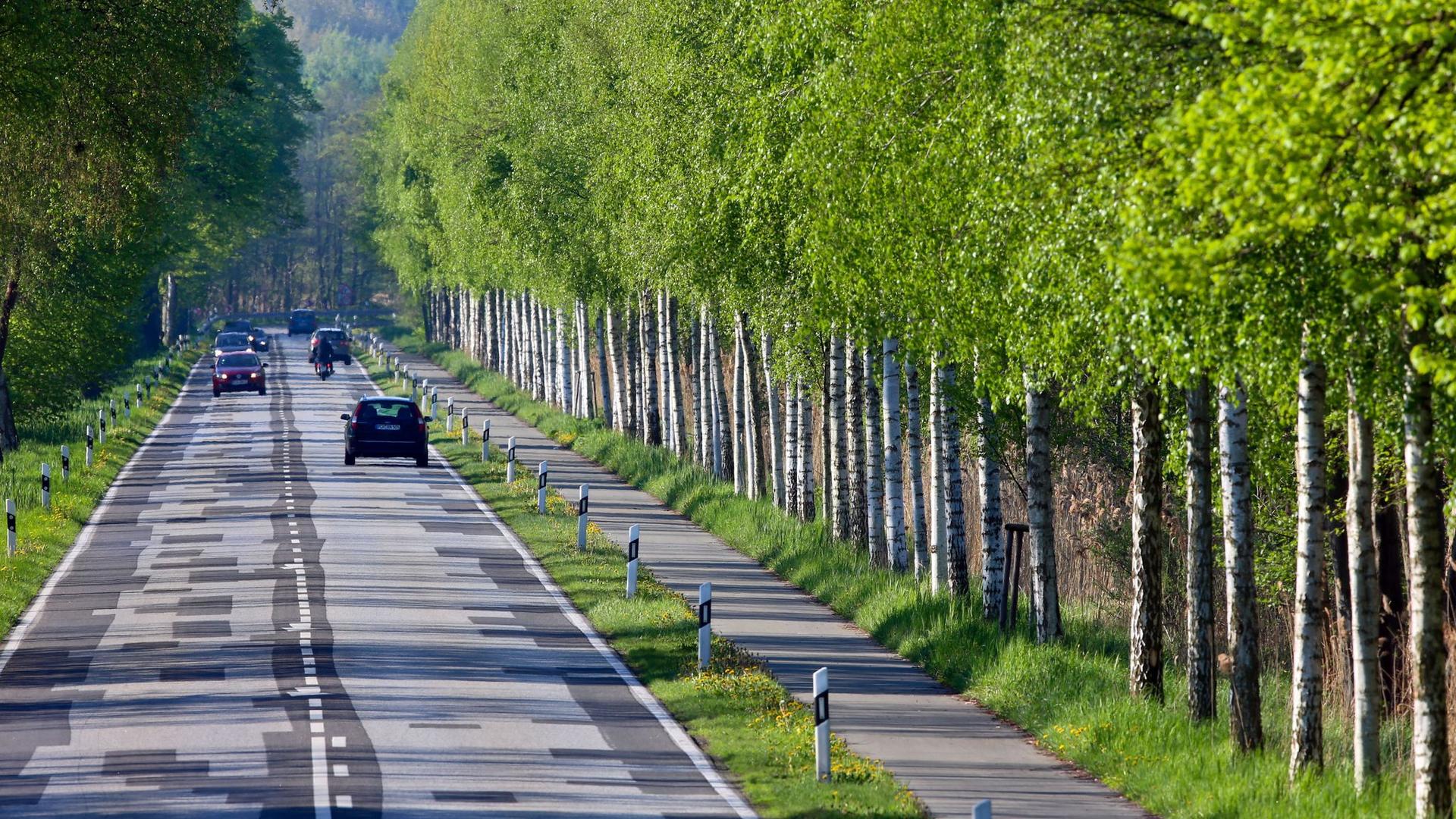 Straßenbauarbeiten: Paulsdamm über Schweriner See wegen Straßensanierung dicht