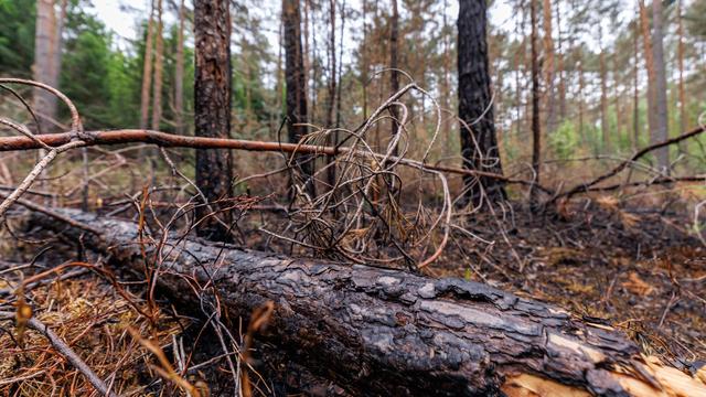 Kabinett: Klimabericht: Bayern wird eigene Klimaziele wohl verpassen
