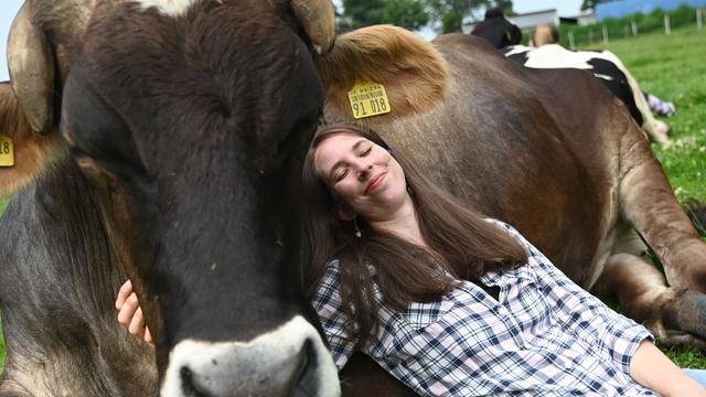 Freizeit mit Tieren: Kuh-Kuscheln: Entspannen mit Rindern