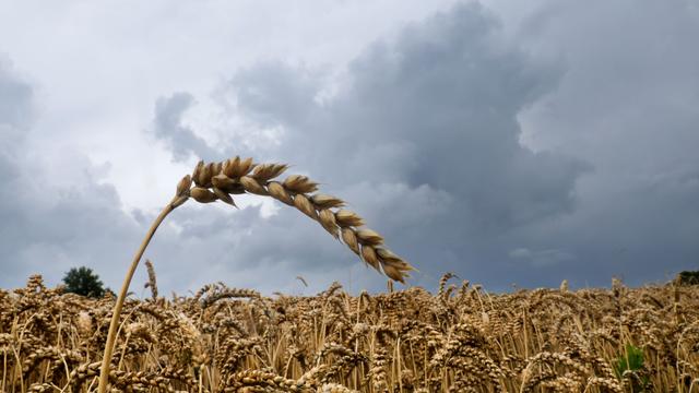 Regenwetter: Wolken, Regen, Wolken, Regen - mit Hauch von Sonne