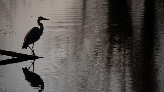 Naturschutz: Frankfurt verbietet Wasserentnahme aus Bächen und Flüssen
