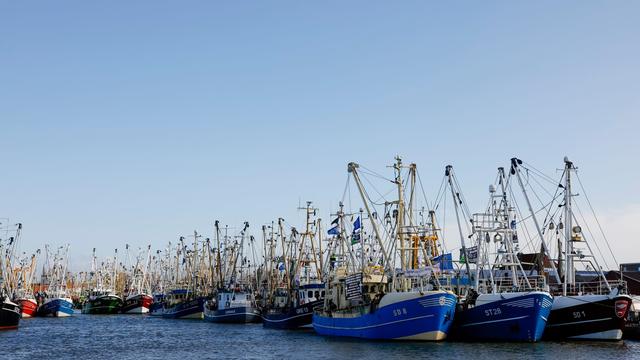 Fischerei im Wattenmeer: Krabbenfischerdialog in SH vorerst gescheitert