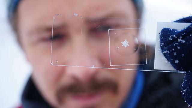 Bei Expeditionen gesammelt: Paar verewigt Schneeflocken aus Antarktis und Arktis
