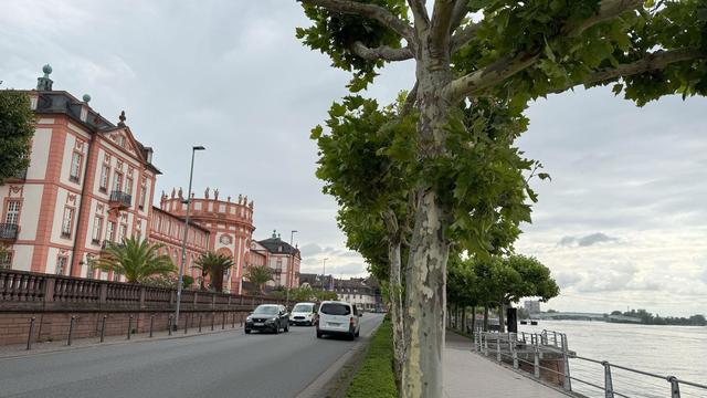 Flanieren ohne Abgase: Wiesbaden testet autofreies Rheinufer