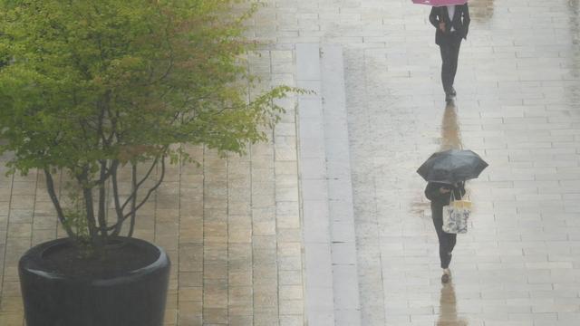 Wettervorhersage: Kein Sommerwetter in Aussicht - Mehr Regen