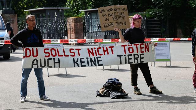 Zootiere: Mehr als 100 Strafanzeigen nach Pavian-Tötung in Nürnberg