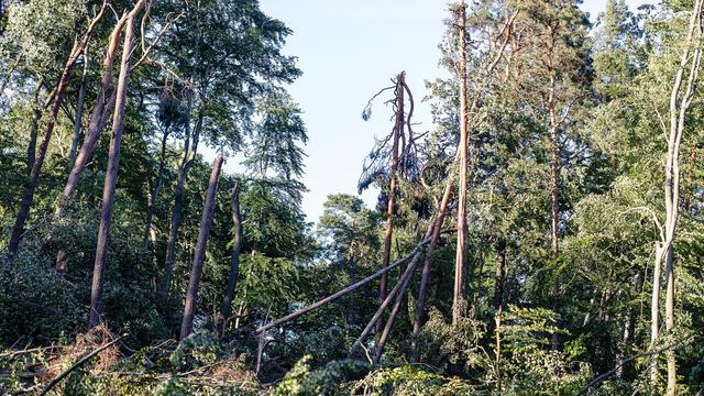 Aufräumen nach Sturmschäden: Sperrung von Tegeler und Spandauer Forst verlängert