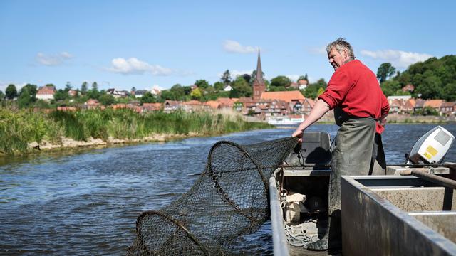 Handwerkskunst: Weniger als ein Dutzend Berufsfischer auf der Elbe im Norden