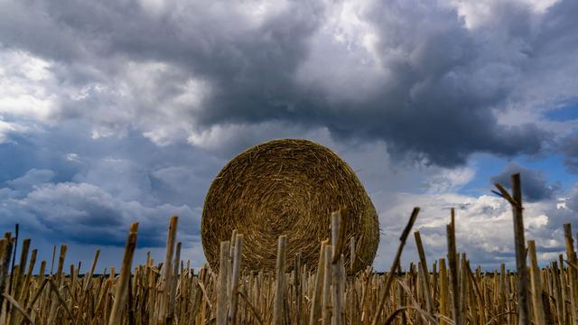 Wetter: Wolken, Regen und kein Sommerwetter in Sicht