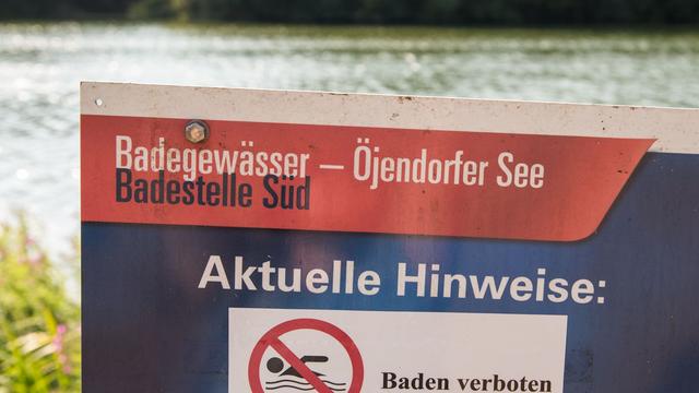 Gefährliche Bakterien: Badeverbot wegen Blaualgen im Öjendorfer See