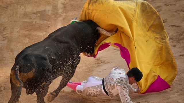 Umstrittene Tradition: Riesige Stier-Statue soll neues Wahrzeichen Spaniens werden
