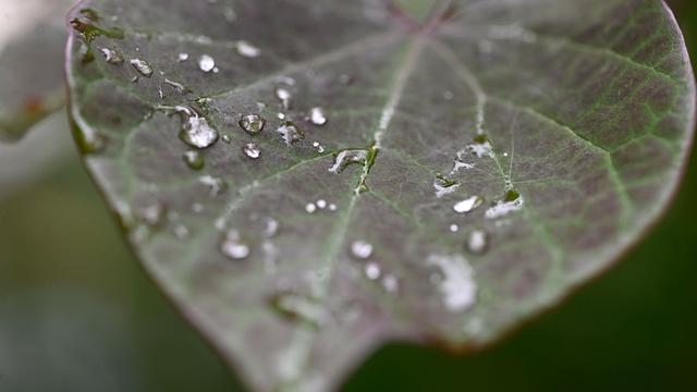 Wettervorhersage: Neue Woche wird in NRW zunehmend wärmer