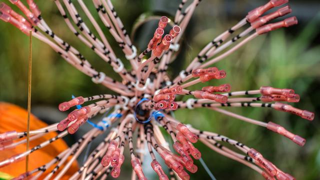 Sabotage an der Strecke: Tätersuche nach Bahn-Kabelbränden in NRW und Sachsen-Anhalt