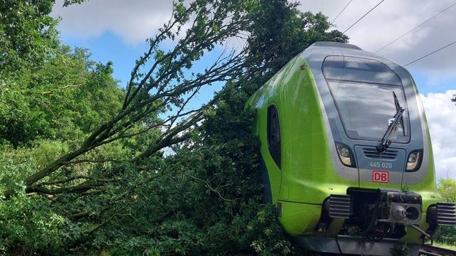 Zugverkehr: Zug mit gut 200 Fahrgästen fährt gegen umgestürzten Baum