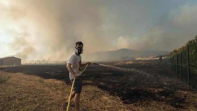 Feuer: Großer Vegetationsbrand wütet in Südfrankreich