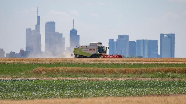 Ernte: Landwirte hoffen auf Sonne und trockene Böden