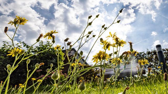 Sommerwetter: Sonne und Wärme – NRW startet freundlich in die Woche