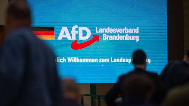 Verfassungsschutz: Bericht: Vermerk zu Einstufung der AfD vorab im Netz