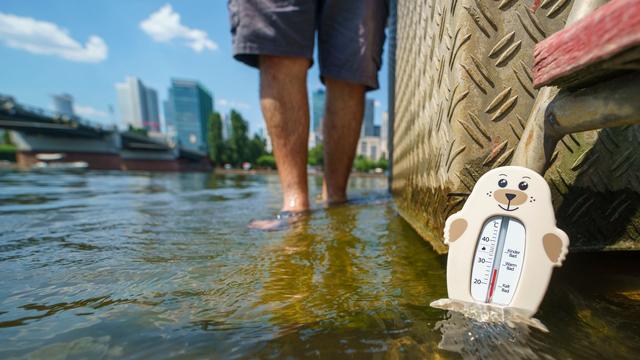 Sommerwetter: Temperaturen bis 38 Grad in Hessen