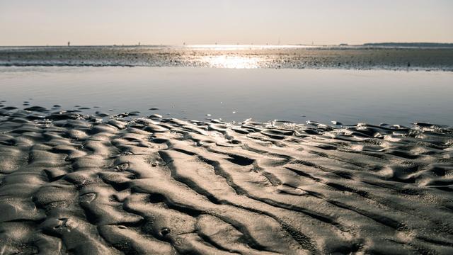 Notfälle: Frau wird von Hund im Watt unter Wasser gedrückt