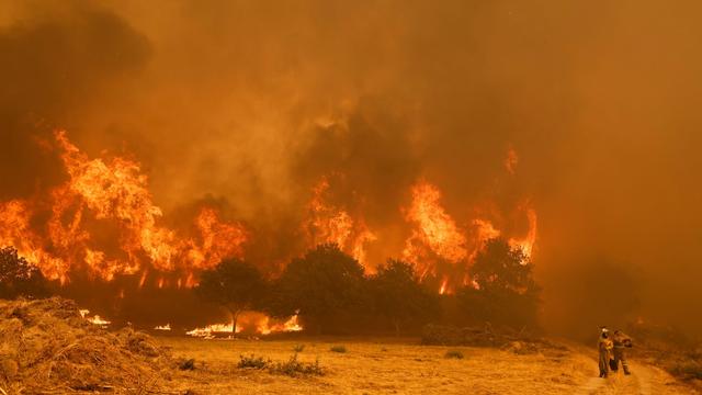 Spanien: Mindestens 16 große Waldbrände in Spanien