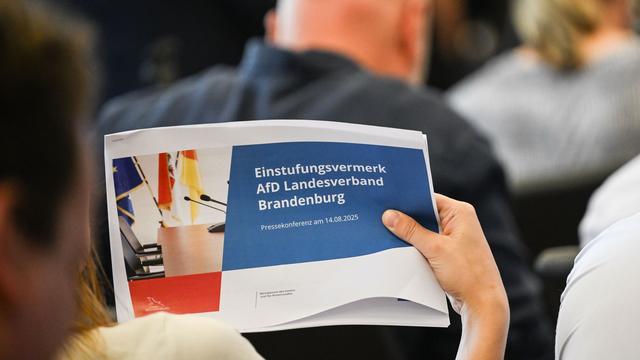 Rechtsextremismus: Woidke zum Umgang mit der AfD: "Da sind Fehler passiert"