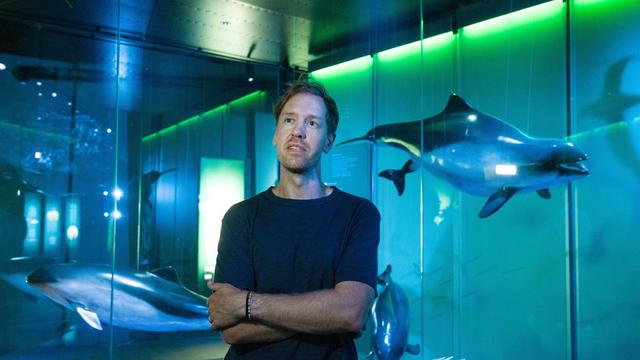 Sebastian Vettel: Vettel als Umweltschützer: "Das große Thema unserer Zeit"