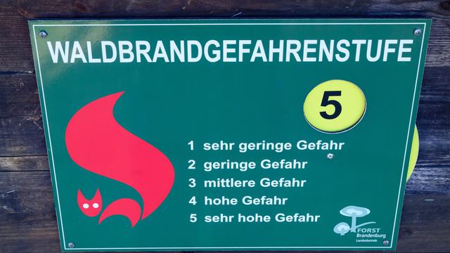 Trockenheit: Waldbrandgefahr steigt - ganz Brandenburg in rot