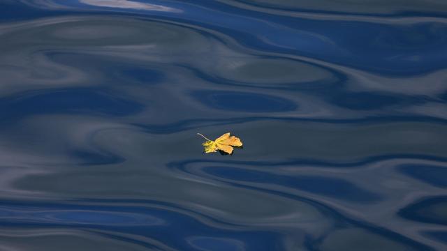 Wetter: Auf die Hitze folgen Gewitter und Schauer