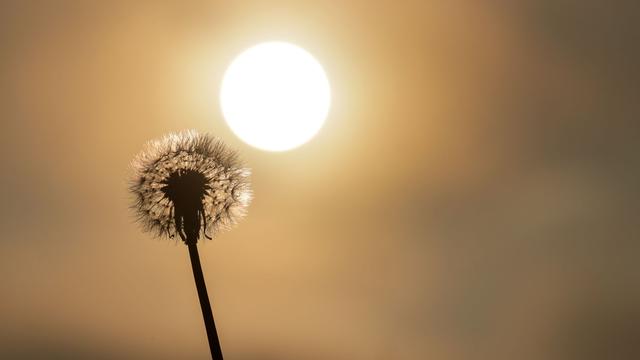Bestes Wetter in Sommerferien: Sommer bleibt, Hitze geht – Sonne im Südwesten