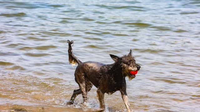 Wetter in Nordrhein-Westfalen: Sonne und zeitweise mehr als 30 Grad zu Beginn der Woche