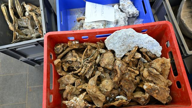 Archäologie: Britischer Weltkriegs-Bomber aus Tagebau-Umfeld geborgen