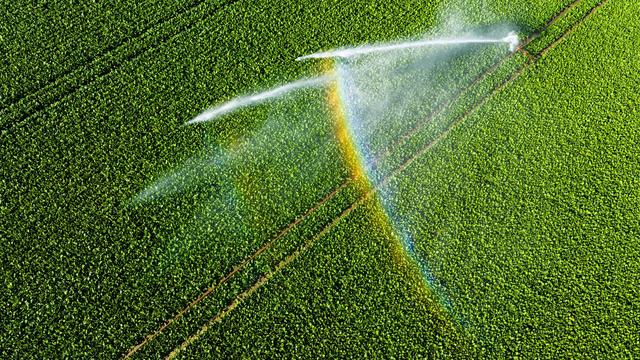 Landwirtschaft: Bauern reagieren auf Trockenheit: Mehr Bewässerung und Soja
