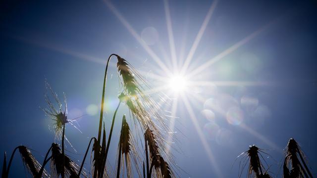 Wetter: Sonniger Dienstag in Berlin und Brandenburg