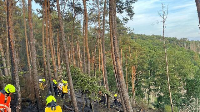 Löscharbeiten: Waldbrand im Nationalpark Eifel: Feuerwehr weiter im Einsatz