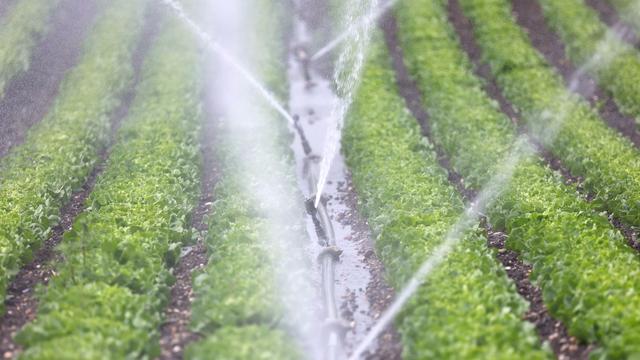 Gefahr für den Verkehr: Bewässerung falsch eingestellt - Landwirt flutet Autobahn