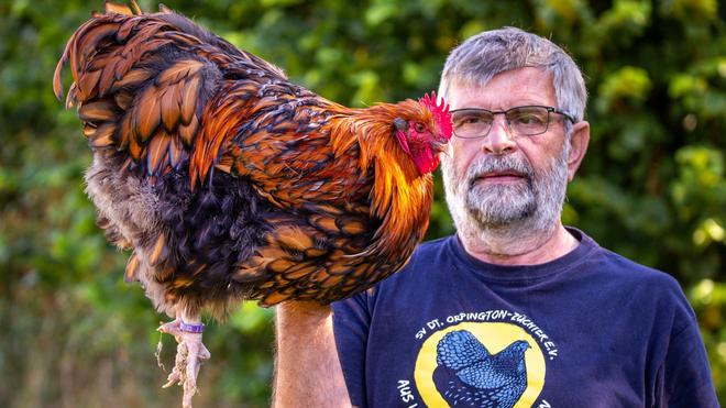 Vom Traktor bis zum Huhn: "Wrfelhuhn" wird MeLa-Star - Countdown fr  Agrar-Messe | DIE ZEIT