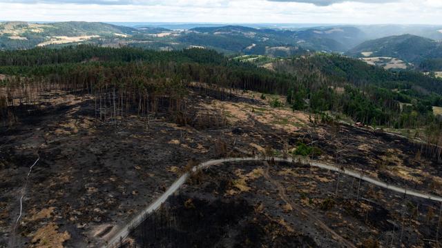 Waldbrand: Brand auf Saalfelder Höhe: 46 Privatwaldbesitzer betroffen